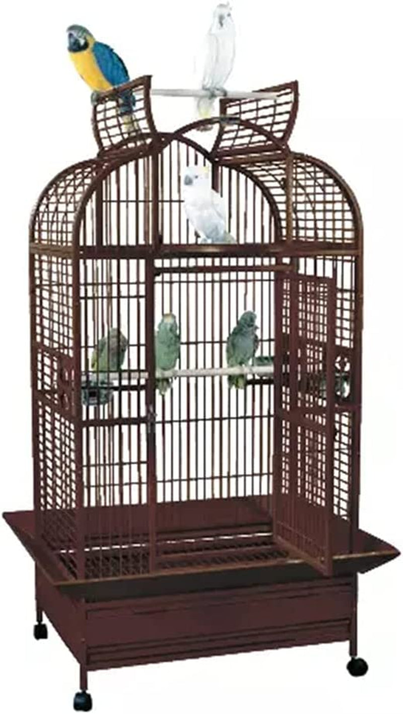 SLT 3628 Superior Line Large Parrot Cage 36X28X69 African Grey Lorie Conure Coppertone Color